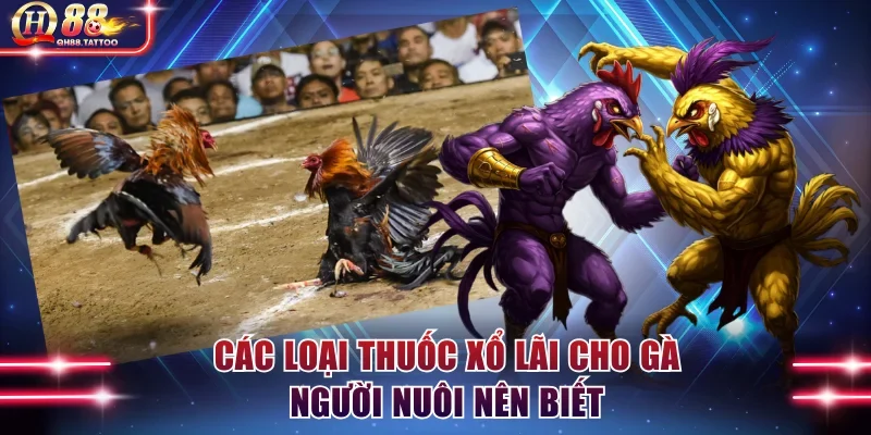 Các loại thuốc giúp tiêu diệt lãi nhanh chóng