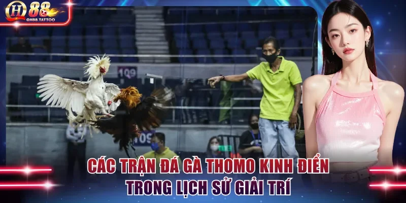 Các trận đá gà Thomo kinh điển trong lịch sử giải trí