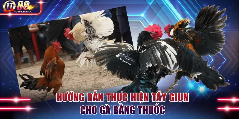Cách thực hiện tẩy lãi bằng thuốc hiệu quả