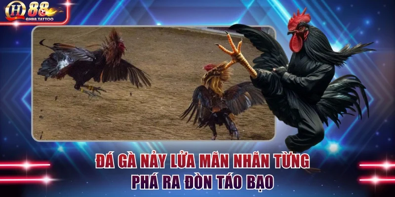 Đá gà nảy lửa mãn nhãn từng phá ra đòn táo bạo