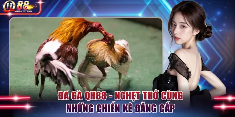 Đá Gà QH88 -  Nghẹt Thở Cùng Những Chiến Kê Đẳng Cấp