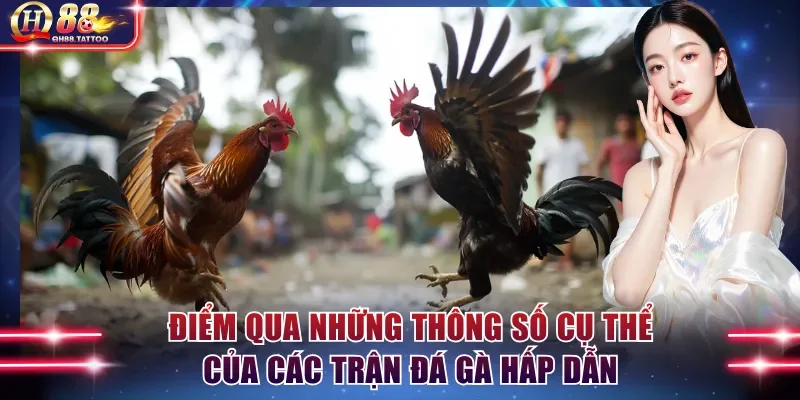 Điểm qua những thông số cụ thể của các trận đá gà hấp dẫn
