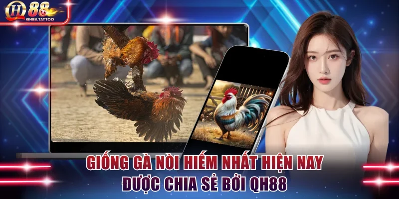 giống gà nòi hiếm