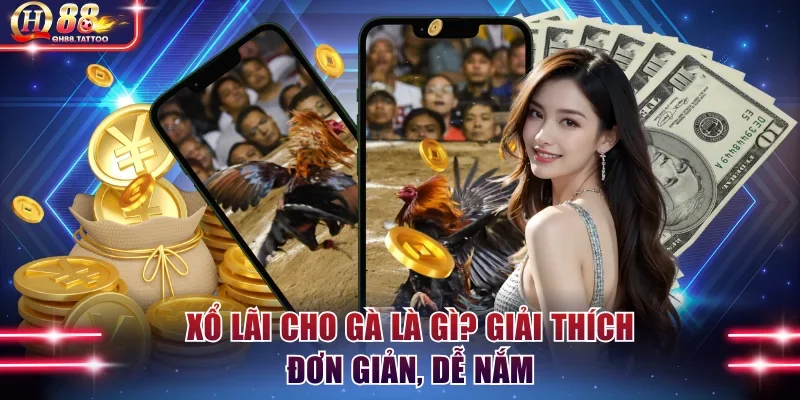 Khái niệm xổ lãi cho gà dễ hiểu