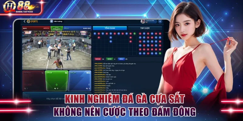 Kinh nghiệm đá gà cựa sắt không nên đặt cược theo đám đông