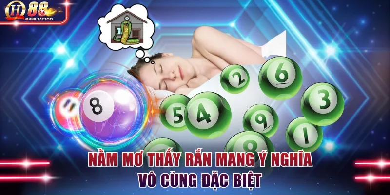 Nằm mơ thấy rắn mang ý nghĩa vô cùng đặc biệt
