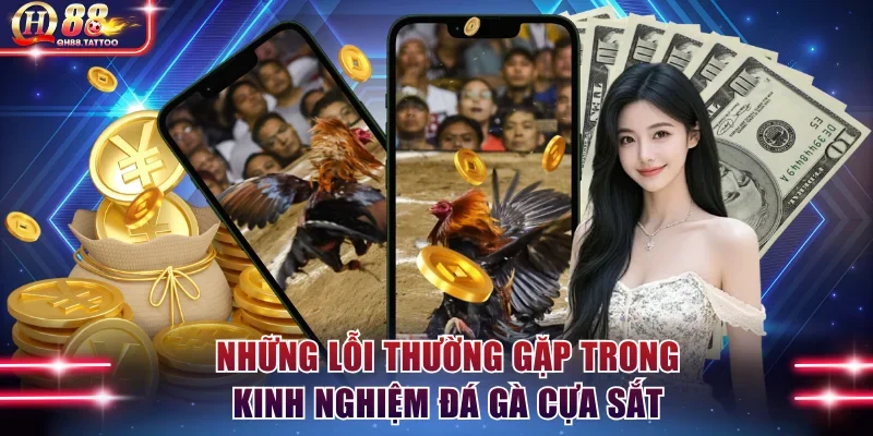 Những lỗi thường gặp trong kinh nghiệm đá gà cựa sắt