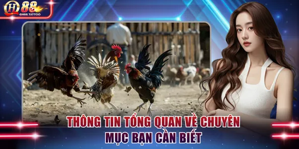 Thông tin tổng quan về chuyên mục bạn cần biết