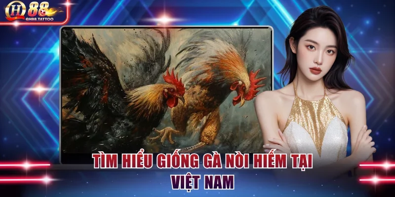 Tìm hiểu giống gà nòi hiếm tại Việt Nam