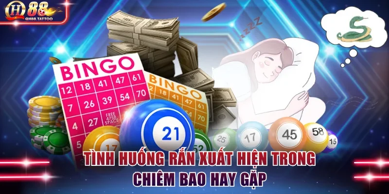 Tình huống rắn xuất hiện trong chiêm bao hay gặp