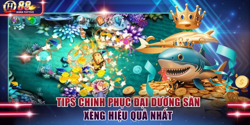 Tips chinh phục đại dương săn xèng hiệu quả nhất