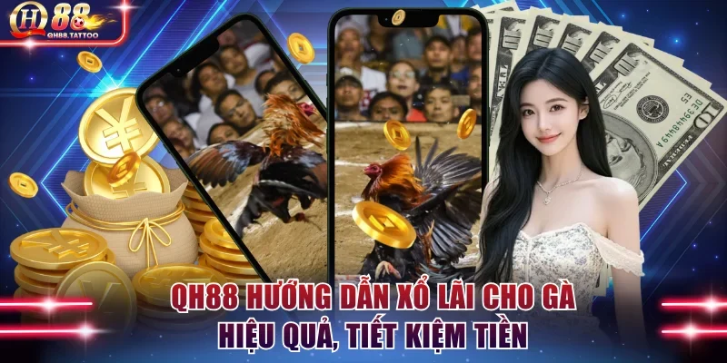 Xổ lãi cho gà